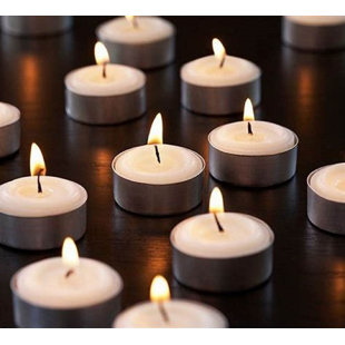 GEKO PRODUCTS Olive Grove Scented Tealight Candle