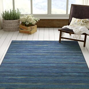 BEACHCREST HOME Aaliyah No Pattern Hand Woven Blue Area Rug