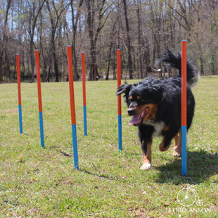Lord Anson Dog Agility Set - Dog Agility Equipment - 1 Dog Tunnel, 6 Weave Poles, 1 Dog Agility Jump - Canine Agility Set For Dog Training, Obedience, Rehabilitation