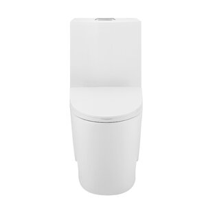 SWISS MADISON St. Tropez One Piece Elongated Toilet Dual Vortex Flush 1.1/1.6 gpf with 10" Rough In