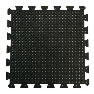 Eco-Drain Rubber-Cal, Inc. 20'' W x 20'' L Garage Flooring Drain Tiles in Black (Set of 8)