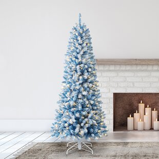 POLYGROUP TRADING LTD Home Heritage 7' Pencil Pine Prelit Flocked Artificial Christmas Tree Blue