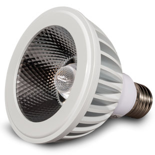 Sunlight2® PAR30 120V AC 14W Bulb, Dim to Warm, 3000K to 1800K, 36° Beam Angle, White Finish (Set of 4)