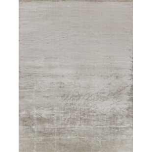 EXQUISITE RUGS Plain Dove Hand Loomed Viscose Solid Color Rug