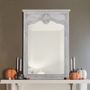 ONE ALLIUM WAY® Spies Flat Wall Mirror