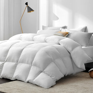 ALWYN HOME All Season Goose Down Comforter 750In³/Oz Fill Power
