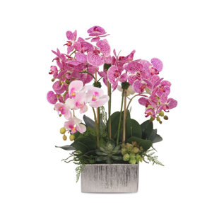 JENNY SILKS Silk Orchid Arrangement in Pot