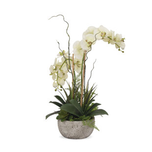 JENNY SILKS Silk Orchid Arrangement in Pot
