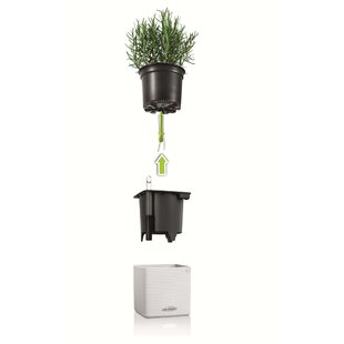 VIDAXL Lechuza Planters 3 Piece Green Wall Home Kit White (Set of 3)