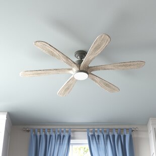 HUNTER FAN 58" Rhinebeck 6 - Blade LED Standard Ceiling Fan with Remote Control and Light Kit Included