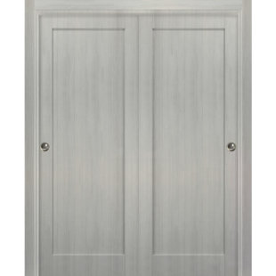 SARTODOORS Quadro Paneled Sliding Closet Doors
