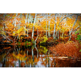 BUY ART FOR LESS Fall Pond Colors 1 by Jobe Waters Photographic Print on Wrapped Canvas