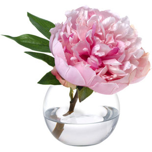 DIANE JAMES HOME Peony Blossom in Glass Vase