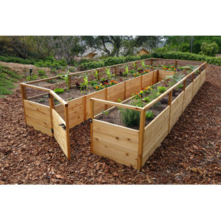 OUTDOOR LIVING TODAY 8 ft. W x 16 ft. D Cedar Garden in a Box