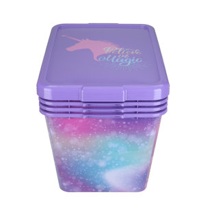 Simplykleen Plastic Tote (Set of 4)