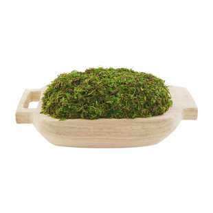 MUD PIE™ CLASSIC HOME 4'' Moss Topiary in Pot