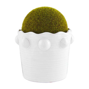MUD PIE™ CLASSIC HOME Moss Topiary in Ceramic Pot