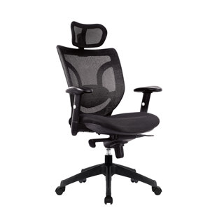 SYMPLE STUFF Ergonomic Mesh Desk Chair