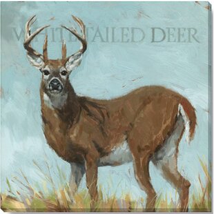 DARREN GYGI HOME COLLECTION Tailed Deer Giclee by Darren Gygi - Wrapped Canvas Painting