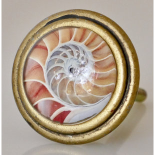 CHARLESTON KNOB COMPANY Signature Pink Nautilus Shell Art in Brass Knob (Set of 4)