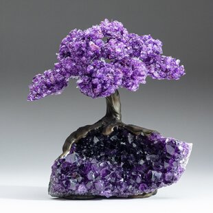 ASTRO GALLERY OF GEMS Large Amethyst Clustered Gemstone Tree on Amethyst Matrix (The Protection Tree)