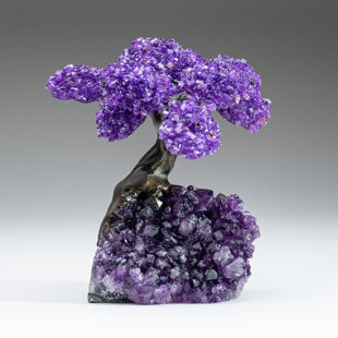 ASTRO GALLERY OF GEMS Medium Amethyst Clustered Gemstone Tree on Amethyst Matrix (The Protection Tree)