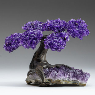 ASTRO GALLERY OF GEMS Small Amethyst Clustered Gemstone Tree on Amethyst Matrix (The Protection Tree)