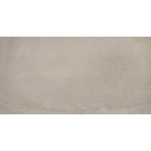 EMSER TILE Borigni™ 17.56" x 35.2" Porcelain Concrete Look Wall & Floor Tile