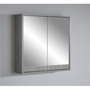 EBERN DESIGNS Fritschle 600mm W 600mm H Surface Mount Frameless Medicine Cabinet with Mirror and 2 Fixed Shelves