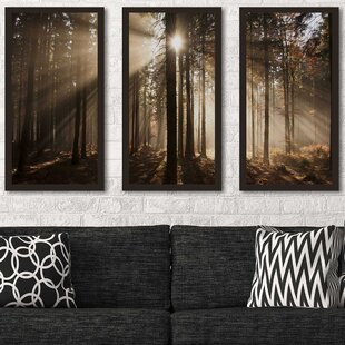 PICTURE PERFECT INTERNATIONAL " Autumn Morning In Forest " 3 - Pieces