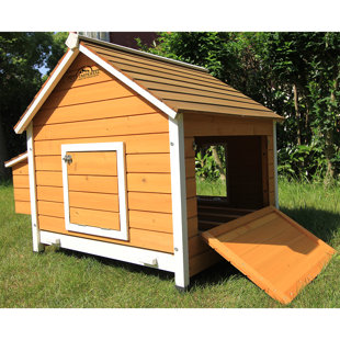 PETS IMPERIAL® Chicken Coops 8.2 Square Feet Chicken Coop with Nesting Box
