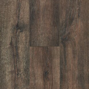 BRUCE FLOORING Natures Vision 7 1/2" x 50" x 12mm Oak Laminate Flooring