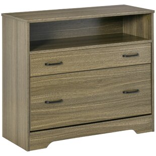 VINSETTO 33.5'' Wide 2 -Drawer File Cabinet