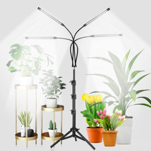 BOLONIE 4-Head Grow Light