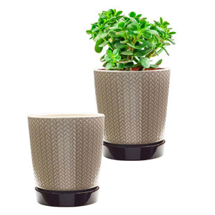 SOUTHERN PATIO® Ceramic Pot Planter