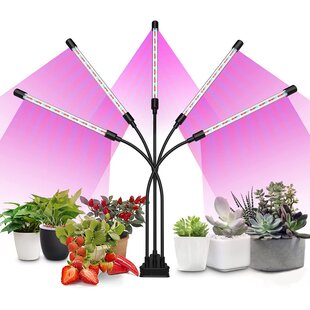 Bolonie Grow Light