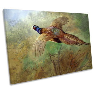 CANVAS GEEKS Archibald Thorburn Pheasant In Flight by Archibald Thorburn - Wrapped Canvas Art Prints