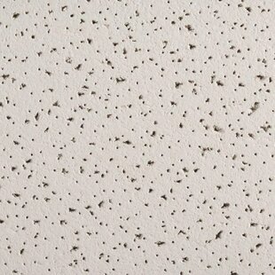 ARMSTRONG WORLD INDUSTRIES Fine Fissured Square Lay-In 15/16 2 ft. x 4 ft. Drop-in Mineral Fiber Ceiling Tile