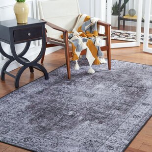 WILLISTON FORGE Akintomiwa Machine Washable Oriental Rug