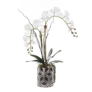 JENNY SILKS Real Touch Orchid Centerpieces in Pot