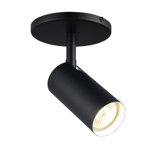 EBERN DESIGNS Hanshelmut 1 Light Spotlight