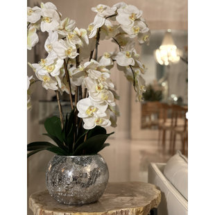 CFA DESIGN GROUP Faux Silk Orchid Arrangement in Vase