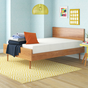 Wayfair Sleep Foam Mattress