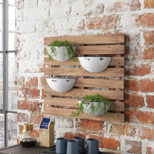 TRENT AUSTIN DESIGN® Jetton Wall Planter (Set of 4)