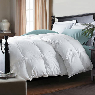 VALENCIALUXE All Season Down & Feather Blend Comforter 100% Cotton (White)