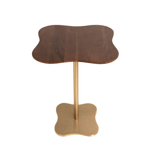 EVERLY QUINN Solid Wood Top End Table