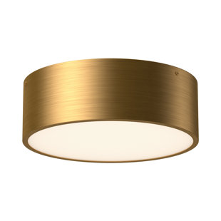 JOSS & MAIN Mossy Flush Mount