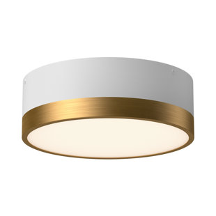 JOSS & MAIN Mossy Flush Mount