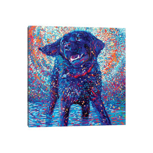 VIV + RAE Leinwandbild Canines & Colour von Iris Scott