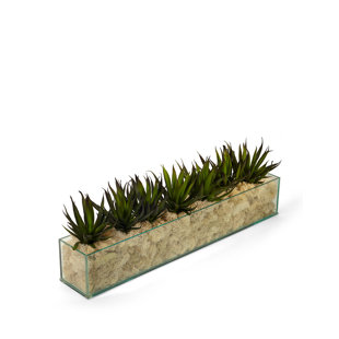 T&C FLORAL COMPANY 7'' Faux Agave Plant in Glass Planter